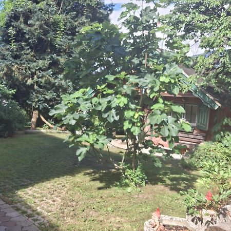 Ganzes Haus Mit Almcharakter Βίλα Lieserbrücke Εξωτερικό φωτογραφία